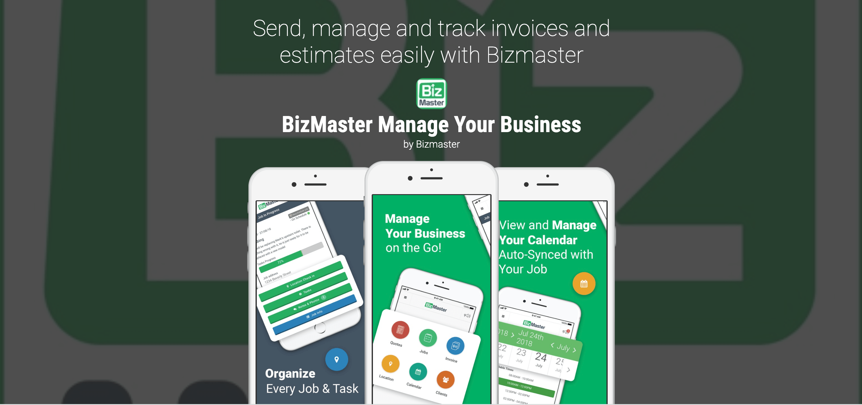 Bizmaster - Image 1