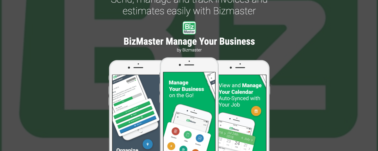 Bizmaster - Image 1